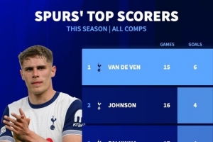 本赛季热刺队内射手榜：中卫范德芬6球居首，约翰逊、帕利尼亚4球